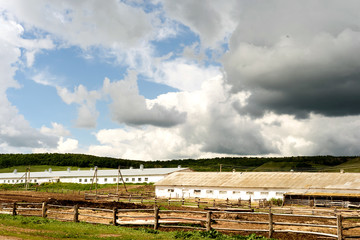 Rural Russian European Farm in Summer