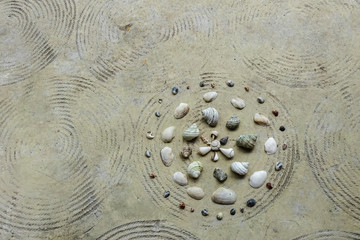 Sea Shells