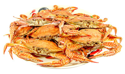 Crabs.Hot Steamed Crabs on a plate isolated on white background,Serrated mud crab,seafood
