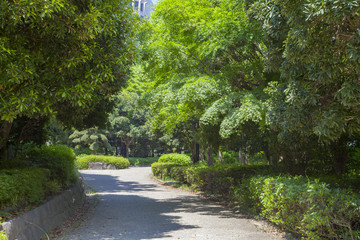 Fototapeta na wymiar Kaihin makuhari park