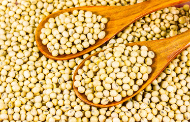 Soy bean in wood spoon full on wooden background,Macro shot of soybeans fills the frame, selective focus,texture,soy milk,soy oil