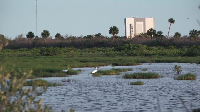 Ibis in from of VAB