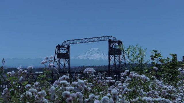 Mt Rainer in the Port