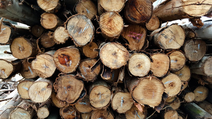 Stacked wood pine timber for construction buildings Background