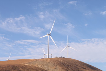 wind turbines on dying grass