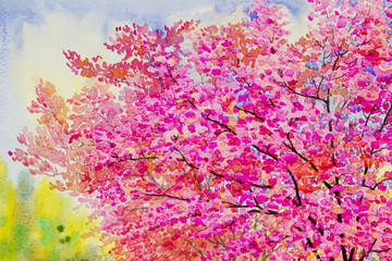 Naklejka na ściany i meble Colorful of wild himalayan cherry in sky and cloud background