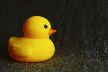 Yellow Duck Toys Over Sackcloth