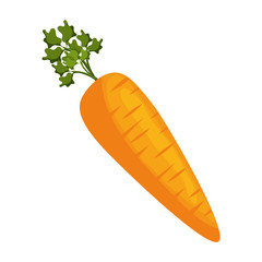 Carrot fresh vegetable icon vector illustration graphic design