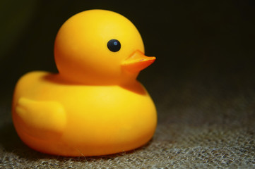 Yellow Duck Toys Over Sackcloth
