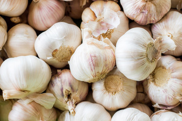 Close-up thailand garlic bulbs and garlic cloves on fresh garlic Background on market stand