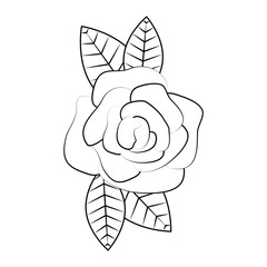 Beautiful flower ornament icon vector illustration graphic design