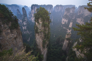 Naklejka premium Zhangjiajie National forest park at Wulingyuan Hunan China