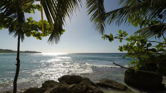 tropical dominican beach