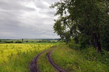 Fototapeta na wymiar Cloudy summer landscape with ground road after rain