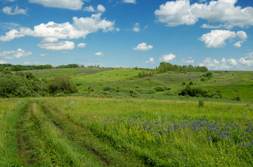 Fototapeta na wymiar Sunny summer scene with ground countryside road..Green hills of Tula region in Russia.