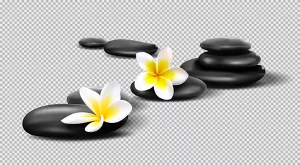 Fotobehang Vector realistic stones on transparent background. Pebbles with Plumeria flowers. Template for Spa salon, cosmetic, massage advertising, © leezarius