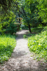 Path in the city