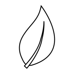 leaf icon over white background vector illustration