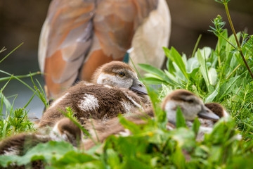 Natur, Ausflug, Entdecken, Wandern, Erleben. Berge, Outdoor