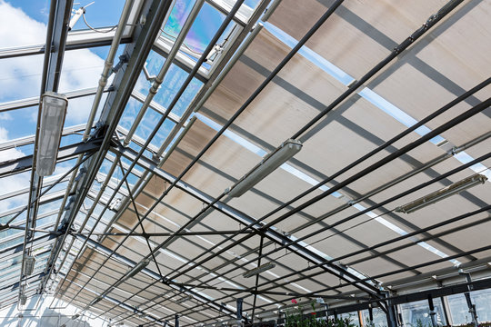 interior of agricultural greenhouse with transparent glass roof