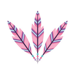 Boho style decorative feathers vector illustration design
