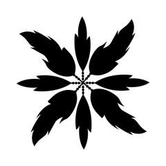 Boho style decorative feathers vector illustration design