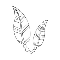 Boho style decorative feathers vector illustration design