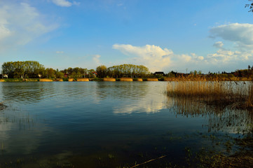 Trzciny nad jeziorem © W Korczewski