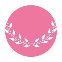 Boho style decorative feathers vector illustration design