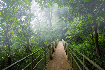 skywalk cloudforest Costa Rica