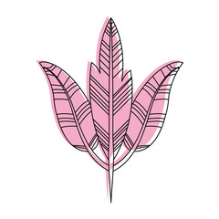 Boho style decorative feathers vector illustration design