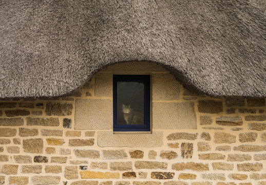Chaumi&egrave;re de Kerascoet avec chat dans la fen&ecirc;tre en Bretagne Finist&eacute;re &ndash; Reedgedecktes Haus in Kerascoet Bretagne mit Katze im Fenster