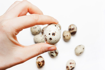 A female hand holds a quail egg in hands
