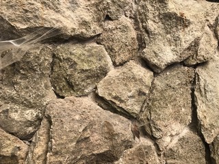 Bruchstrich Spinnenweben Mauer 