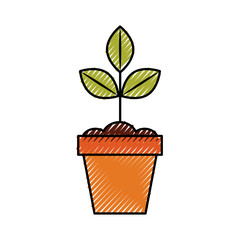 Cultivated plant in pot vector illustration design