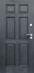 Entrance door (metal door)