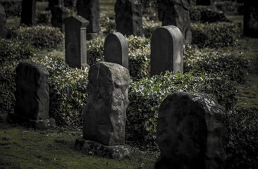 The old Jewish cemetery. Shot in Denmark