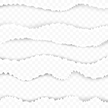 Torn ripped paper transparent background template. Easy to apply layouts image divider in web graphic design. Page texture with teared border lines