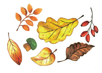 Watercolor set of autumn leaves