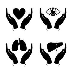 Hand hold heart, eye, lung, liver icons