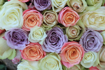 Mixed pastel roses for a wedding