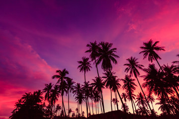 Fototapeta na wymiar Silhouette of coconut trees against dramatic red sunset sky background.