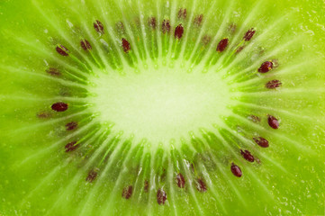 Close up kiwi slice background