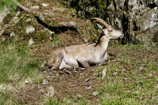 Etagne