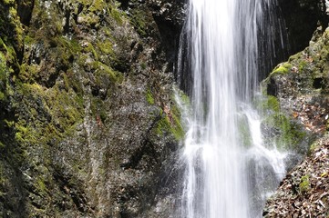 Obraz premium 道志村の雄滝