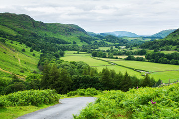 Roadside views in Lake District National Park, England, mountains on the background, selective focus