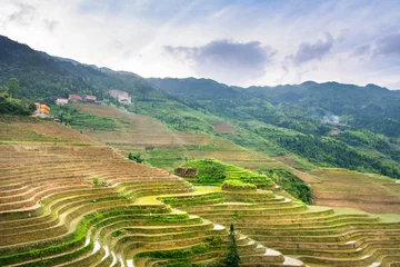 Zelfklevend Fotobehang Terrasvormig padieveld in Longji, Guilin-gebied, China © creativefamily