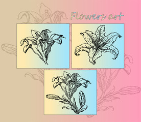 The poster is ready for printing. Seth realistic detailed sketches lily on a gentle gradient background. Botany, floral tattoo