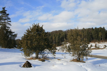 Jahreszeiten Schwäbische Landschaft