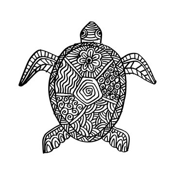 Drawing zentangle turtle 